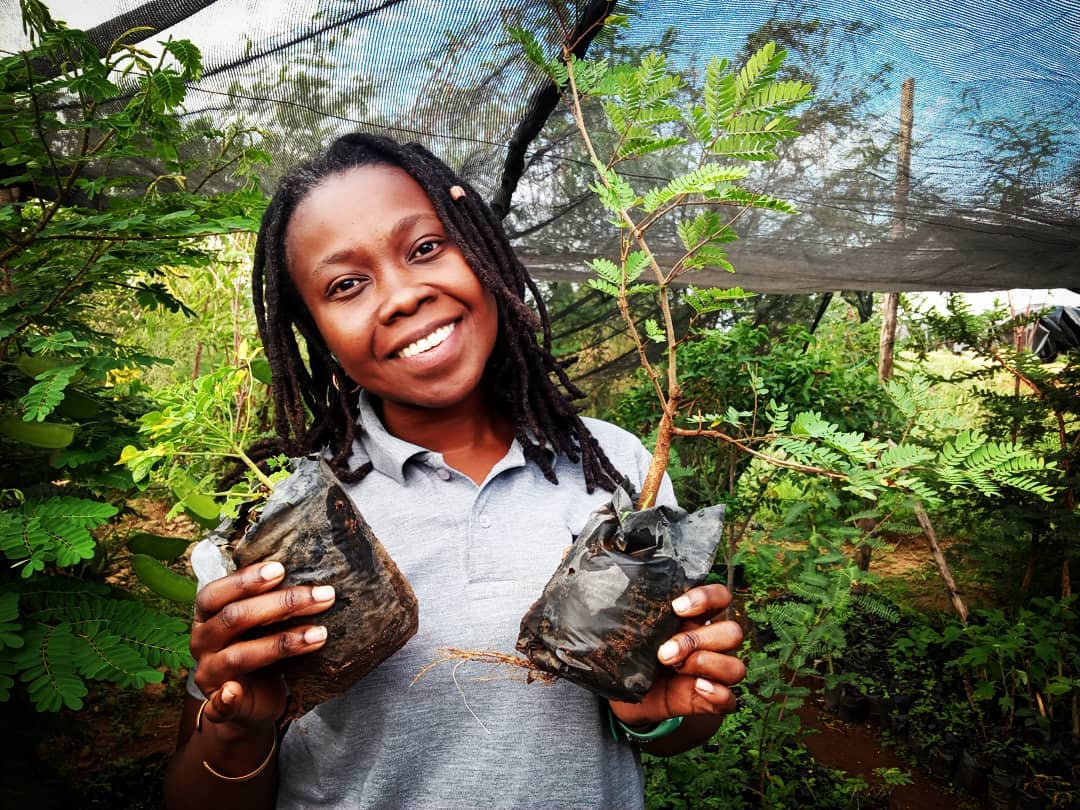 Indigenous tree planting